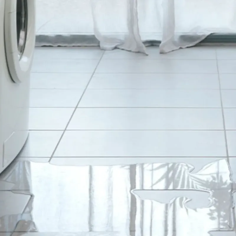 Appliance Leak Cleanup in Boone County, AR