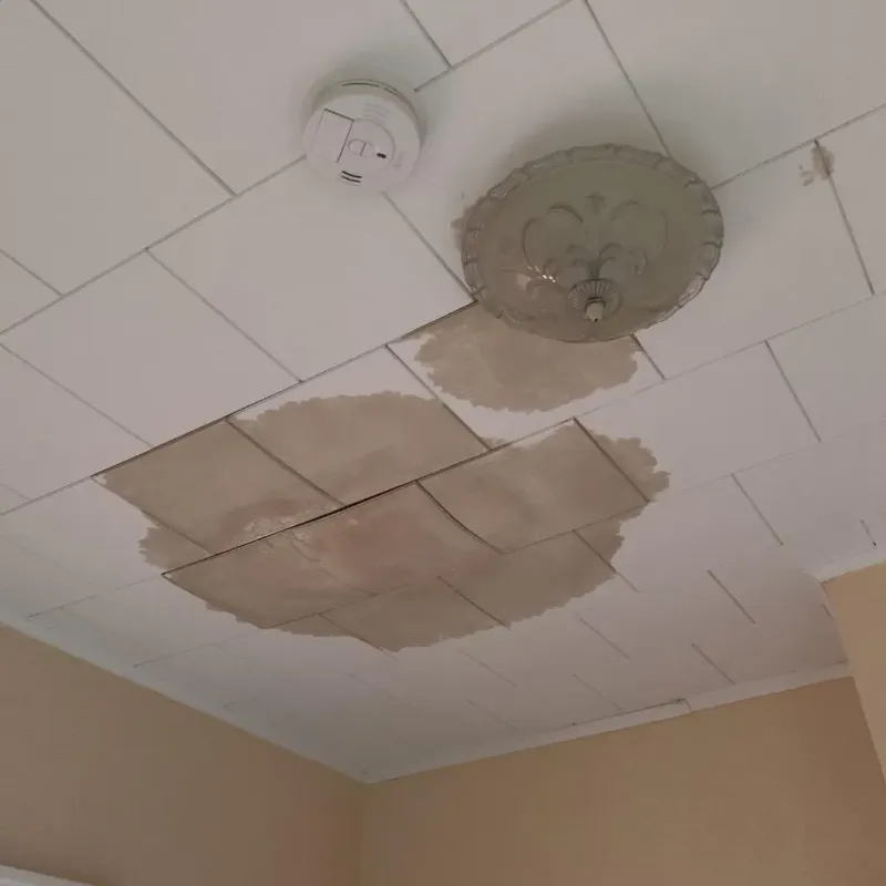Ceiling Water Damage Repair in Boone County, AR