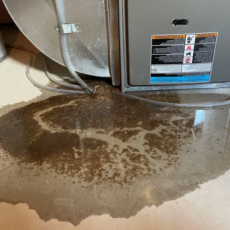 Pipe Burst and Leak Restoration in Boone County, AR