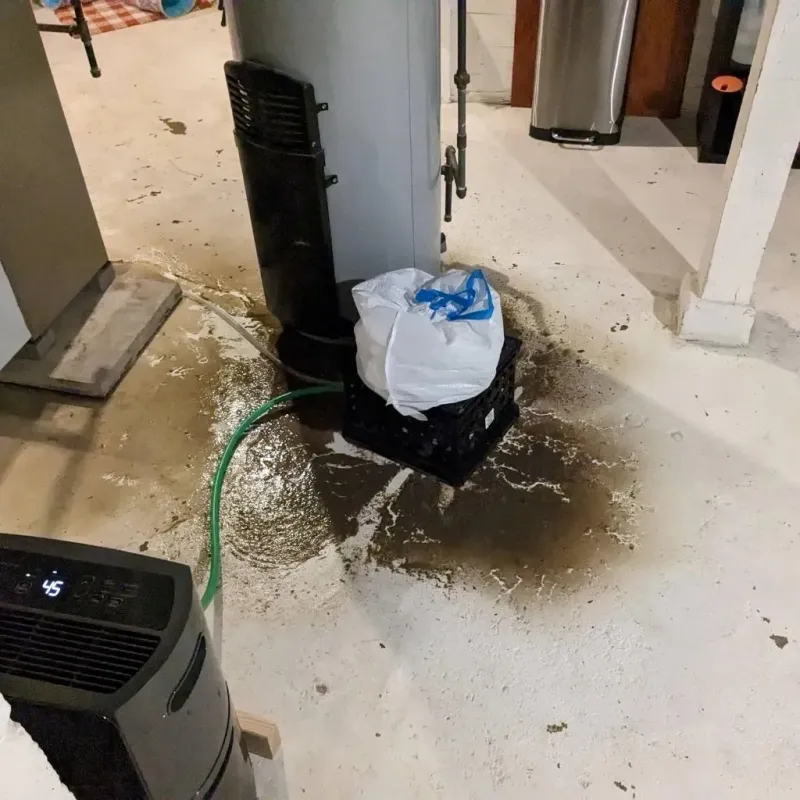 Sewage Backup Cleanup Service in Boone County, AR